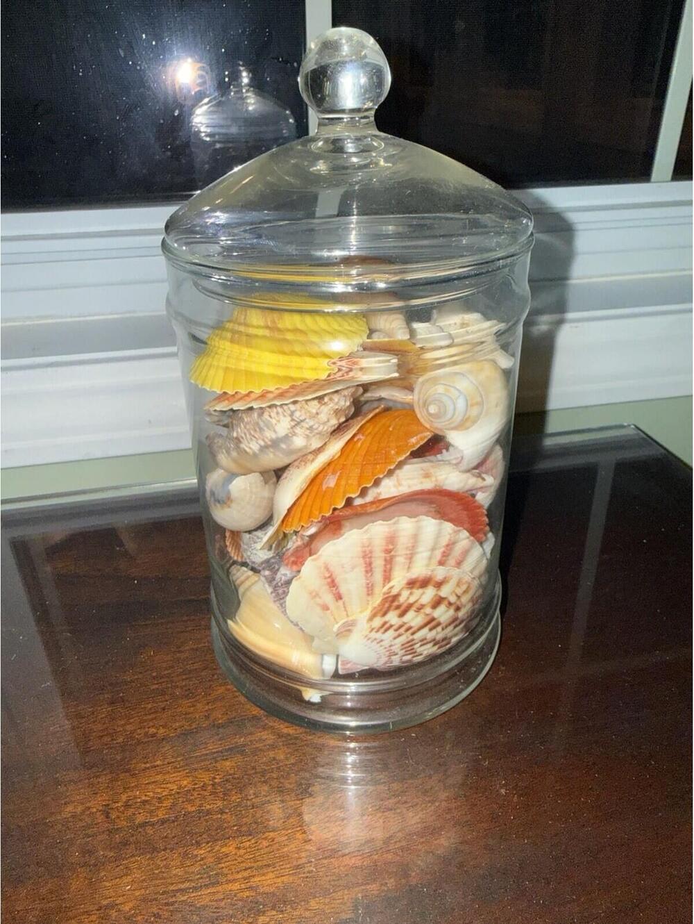 Vintage large apothecary Glass Jar Sea Shells Beach Nautical Ocean Lake Decor
